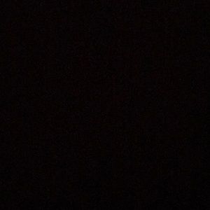 Meet your Posher, Annabelle